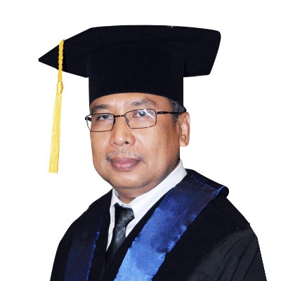 Prof. Dr. Ir. Widodo Wahyu Purwanto, DEA Image
